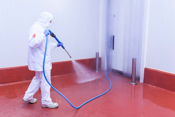 Best Boat and Dock Cleaning  in Mclean, TX