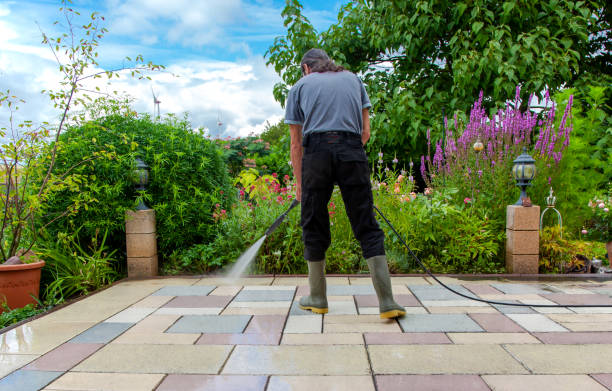 Best Fence Cleaning  in Mclean, TX